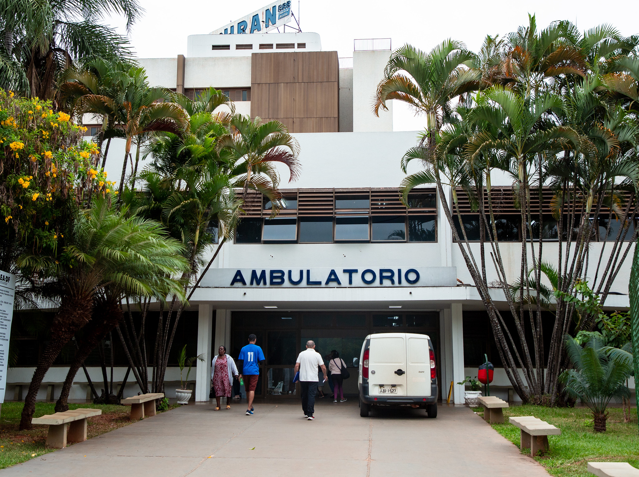 DF tem risco baixo para contaminação de humanos por gripe aviária