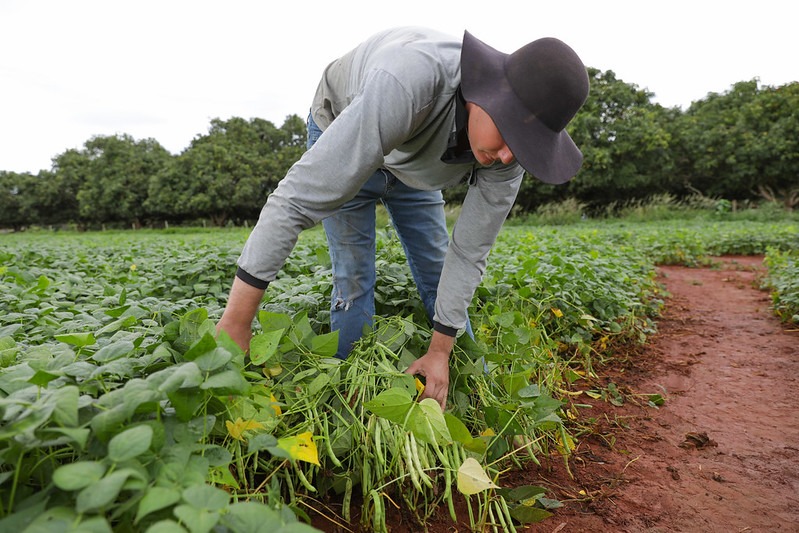 Assentamento 1º de Julho tem mais seis processos de concessão de uso de terras encaminhados