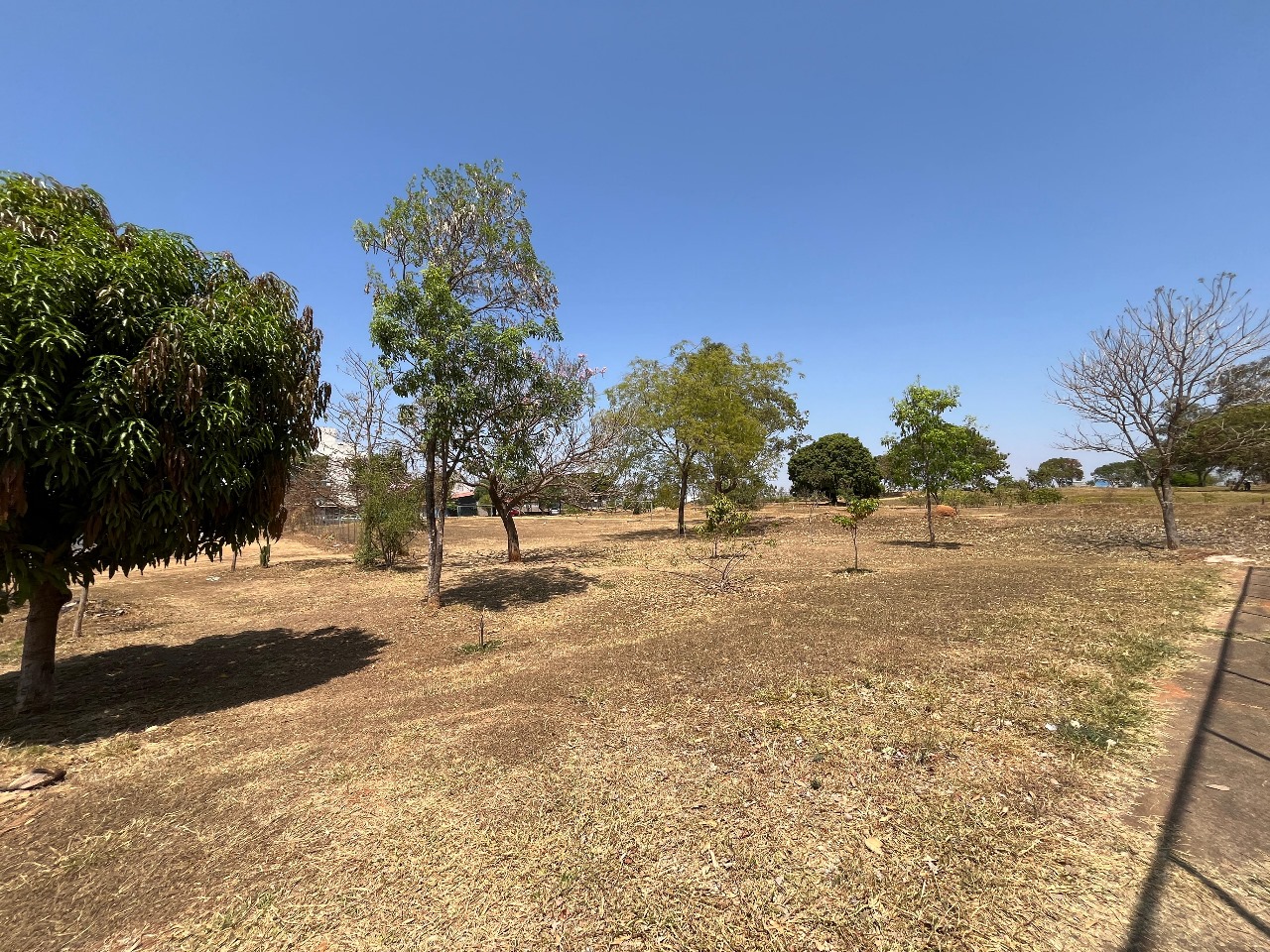 Programa reforça proteção de nascentes em parque urbano do Guará