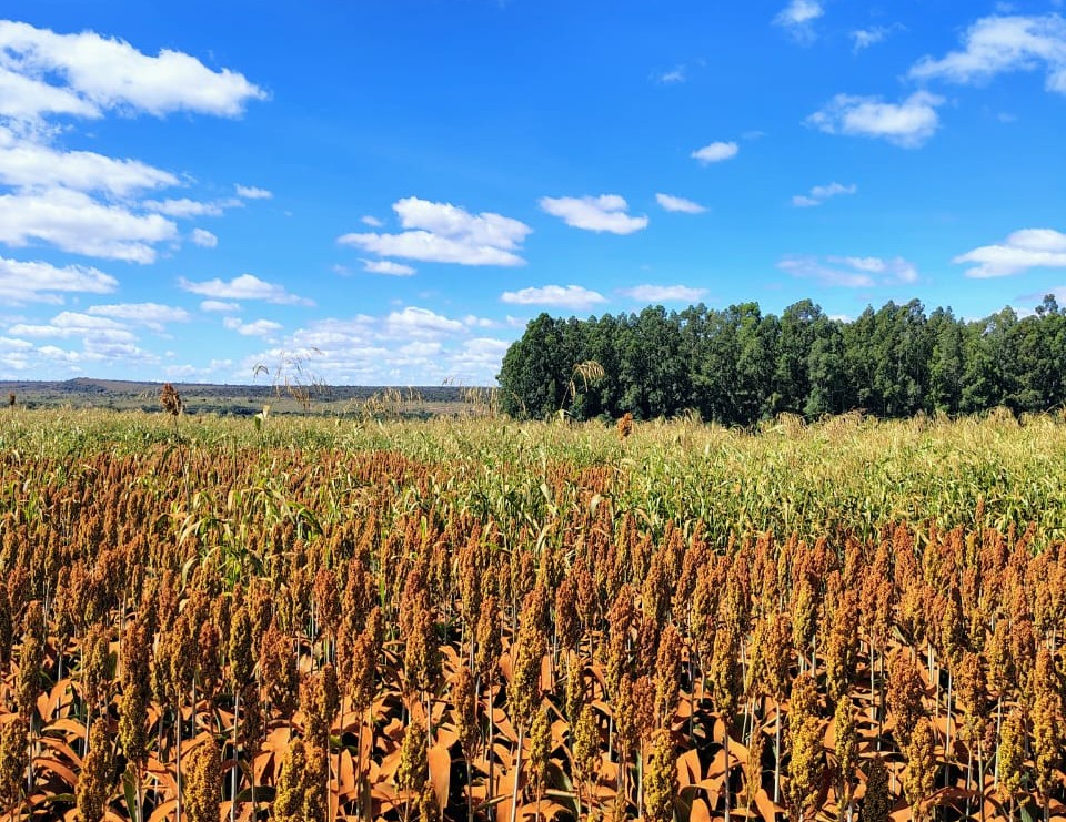 Edital oferece segurança jurídica a produtores rurais da Fazenda Contagem de São João, no Lago Oeste