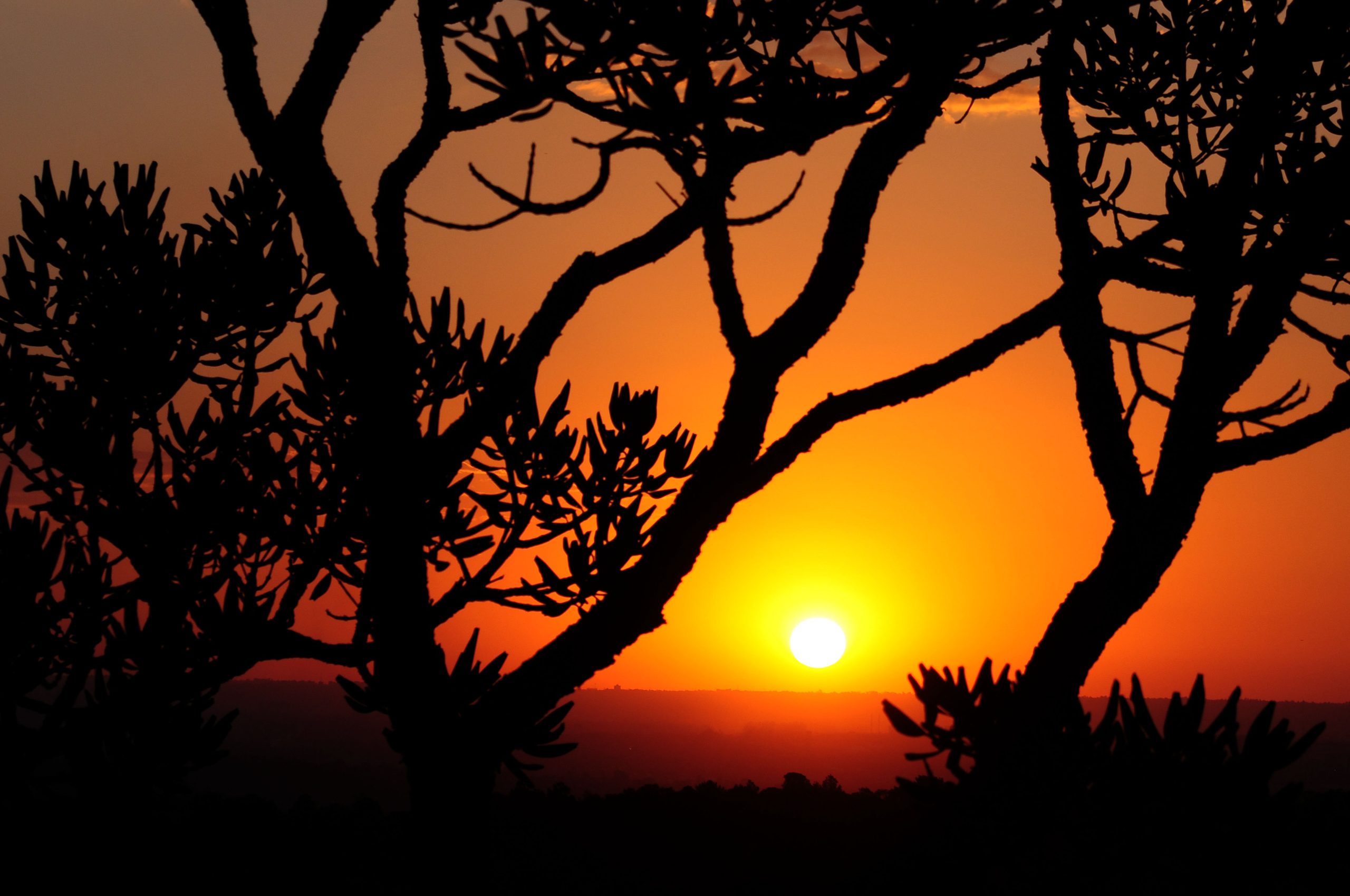 Portaria aprova novas diretrizes para o uso do Fundo Único de Meio Ambiente