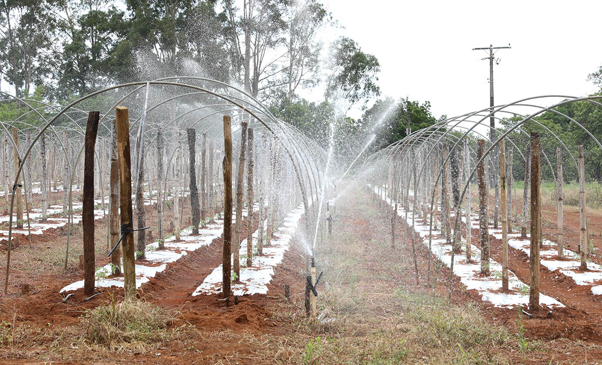 GDF passa de 100 km de canais de irrigação com inaugurações em Planaltina