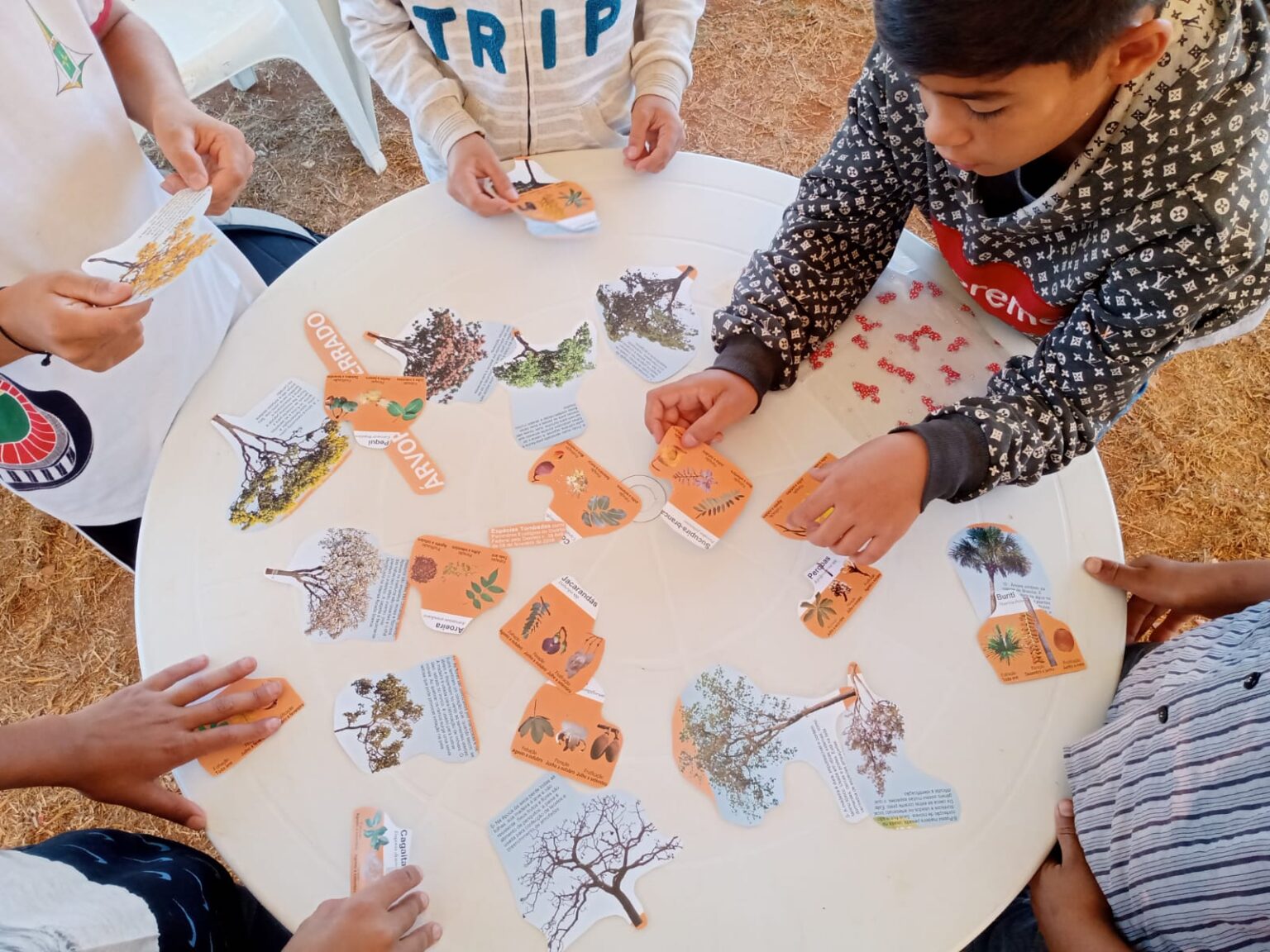 Projeto Parque Educador completa cinco anos com evento nesta quarta (27)