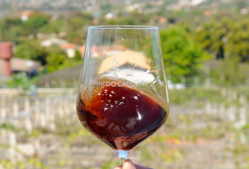 Comissão vai traçar estratégias de fortalecimento do enoturismo no DF