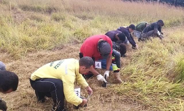 Brigadistas florestais passam por testes antes de contratação temporária