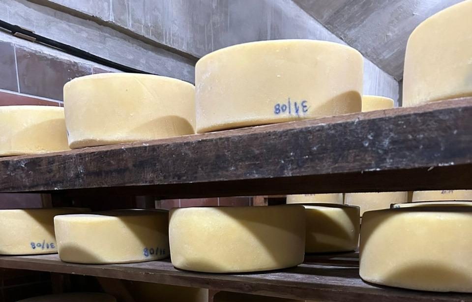 Prorrogada inscrição no Concurso Distrital de Queijos Artesanais