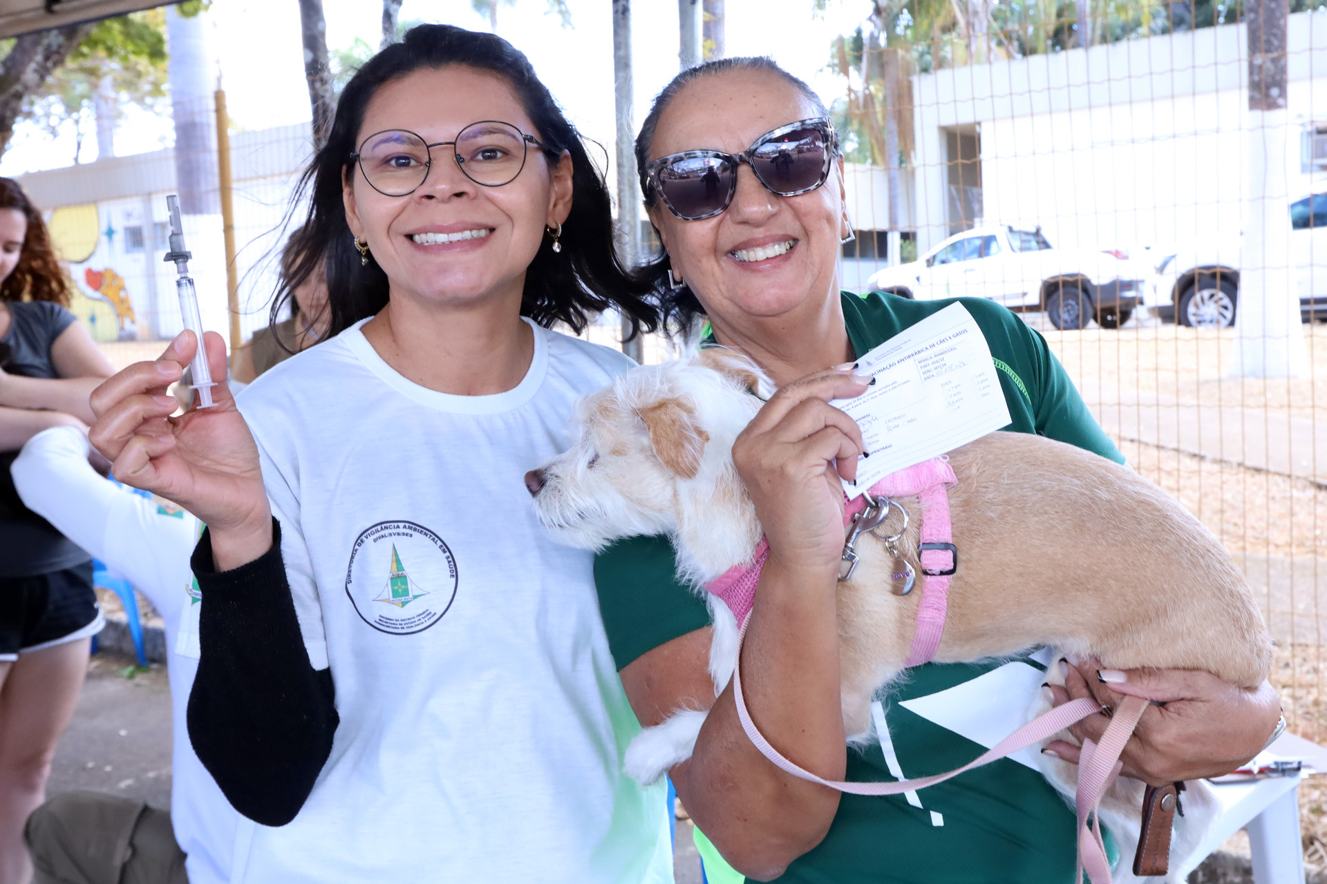 Sábado (1º) é dia de vacinar cães e gatos contra a raiva