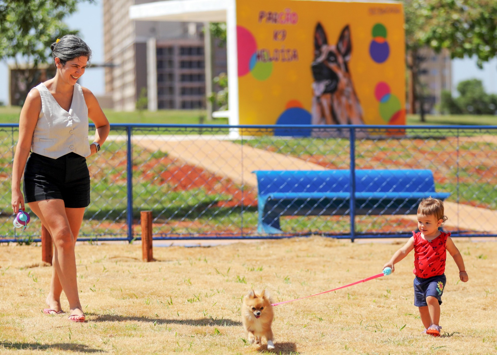 Primeiro ParCão de Samambaia leva lazer aos pets que vivem na região