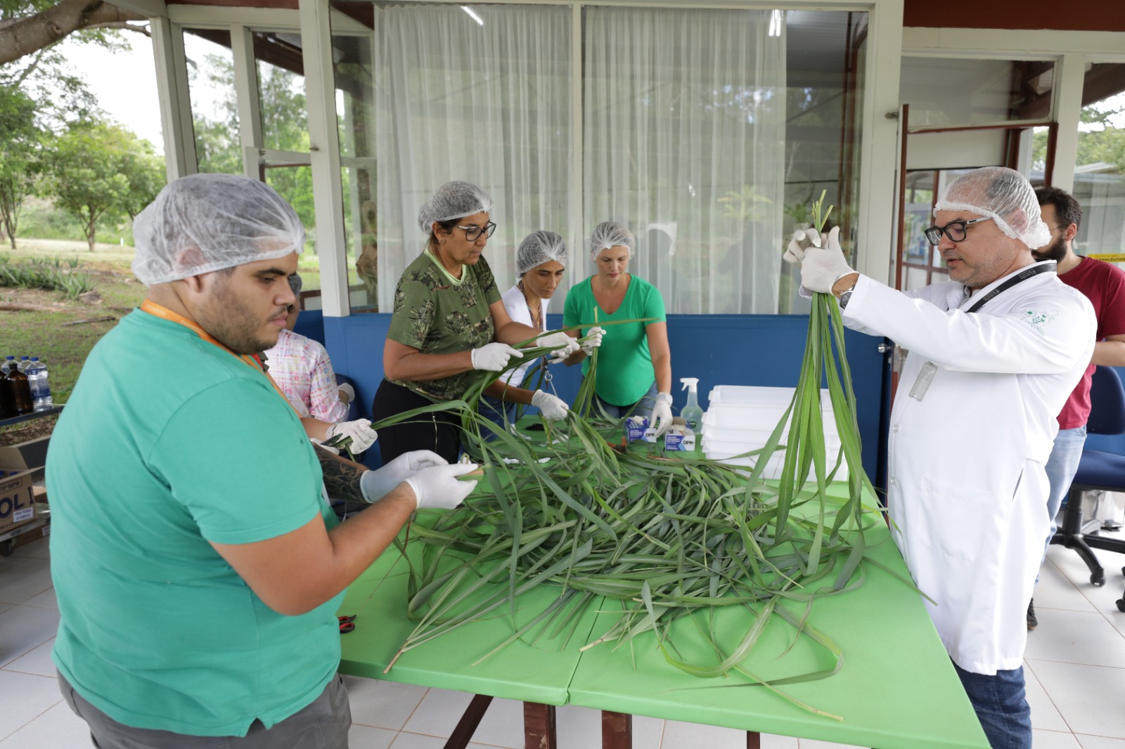 Mutirão da Saúde produz repelente caseiro contra a dengue