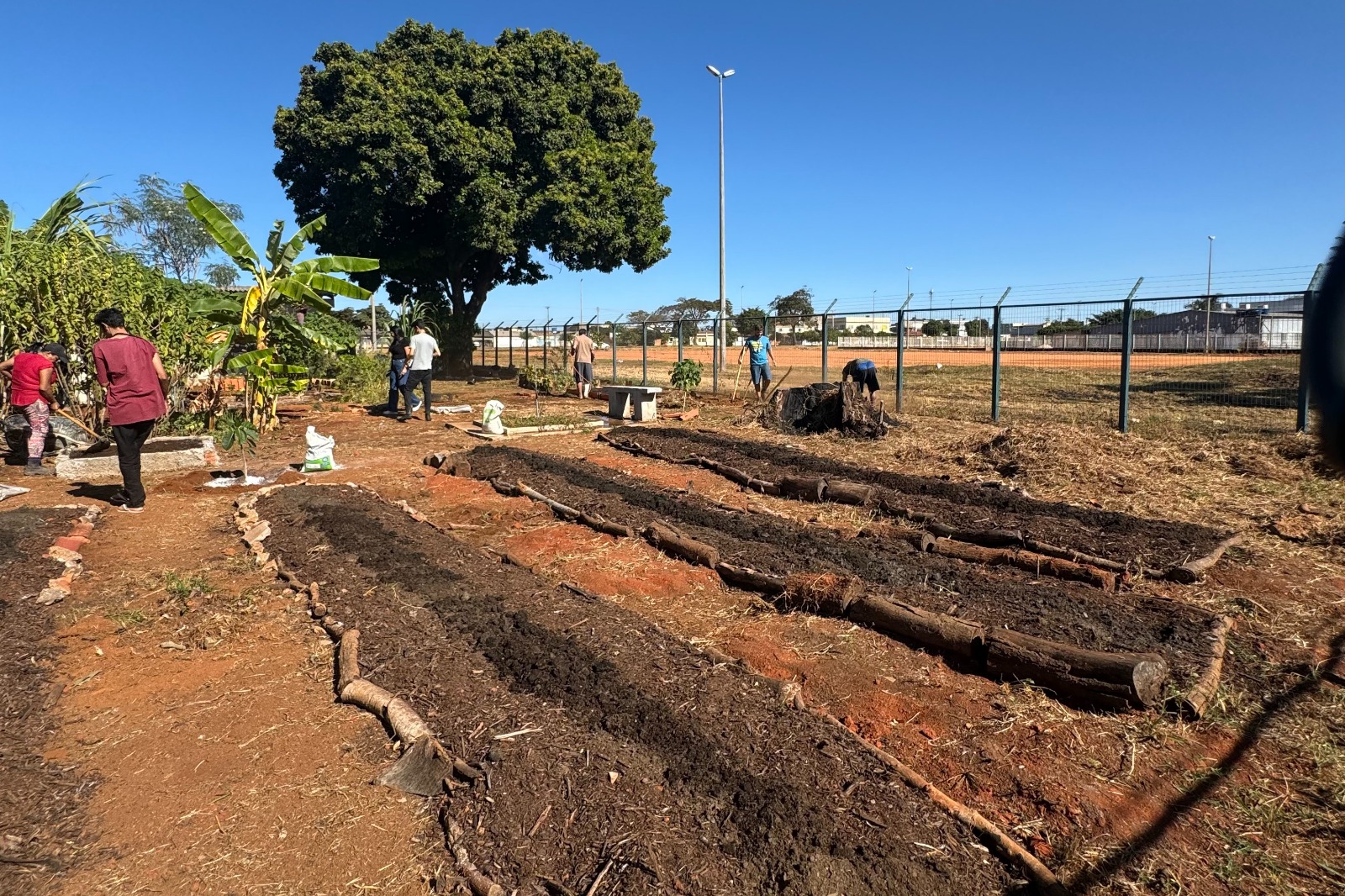 Horta do Creas Ceilândia fortalece vínculos entre pessoas em situação de rua