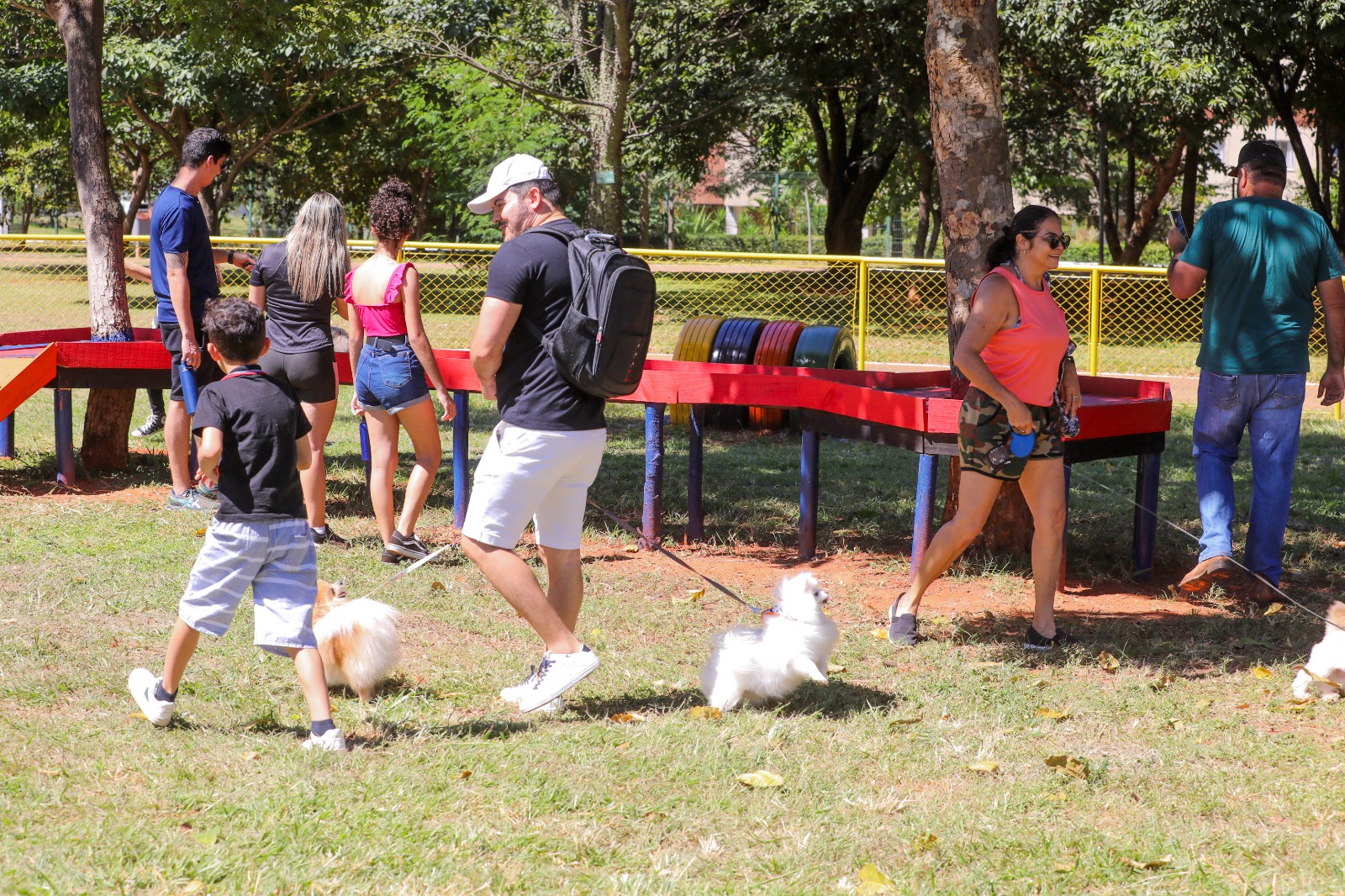 Campanha Pet sem Sujeira alerta tutores para recolhimento das fezes de animais