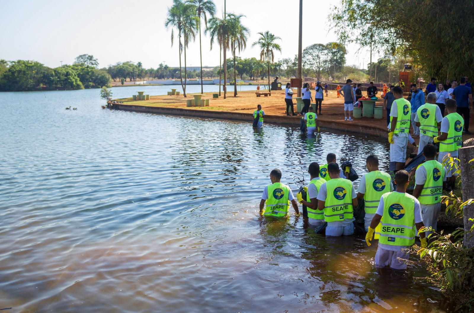 Lagoa dos Patos no Parque da Cidade terá ação de limpeza neste sábado (20)