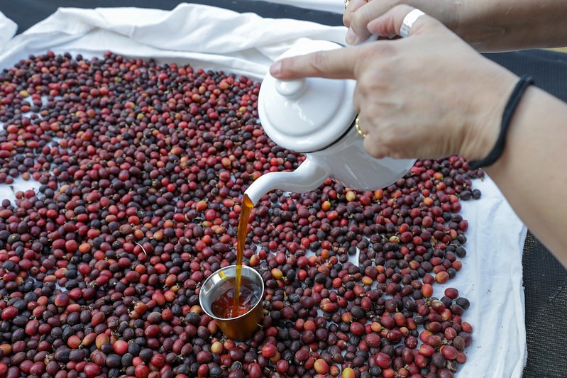 Brasília recebe 3ª edição do Capital Expo Coffee