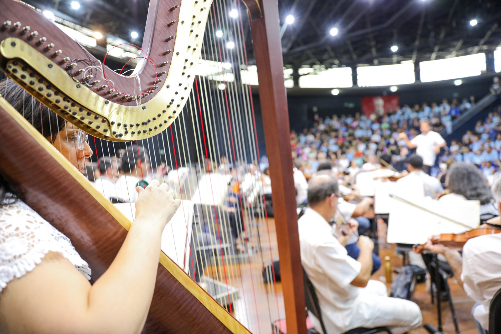 Termo de colaboração define operacionalização da Política Nacional Aldir Blanc no DF