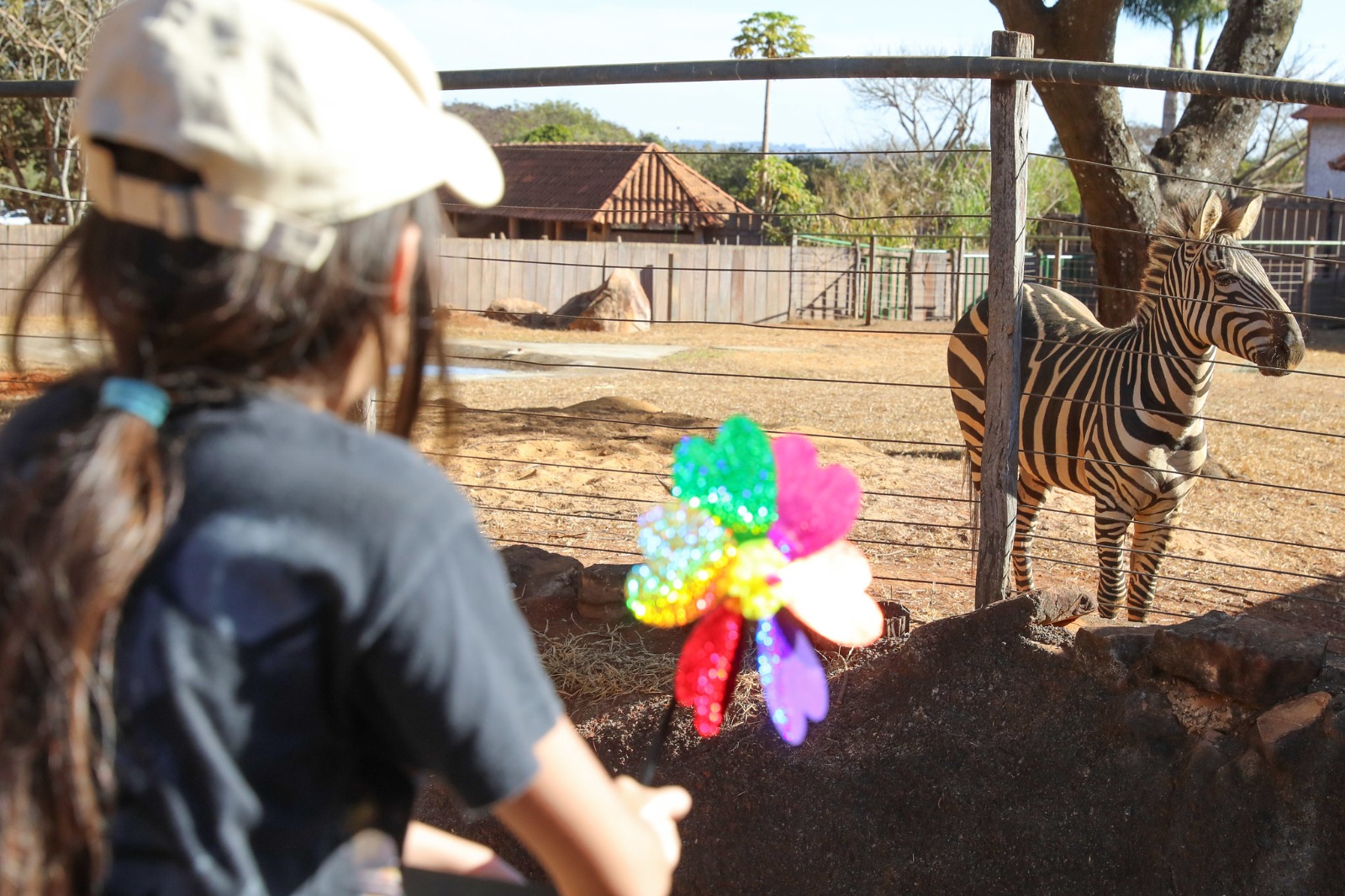 Zoo recebe brinquedos para campanha Vem Brincar Comigo 2024