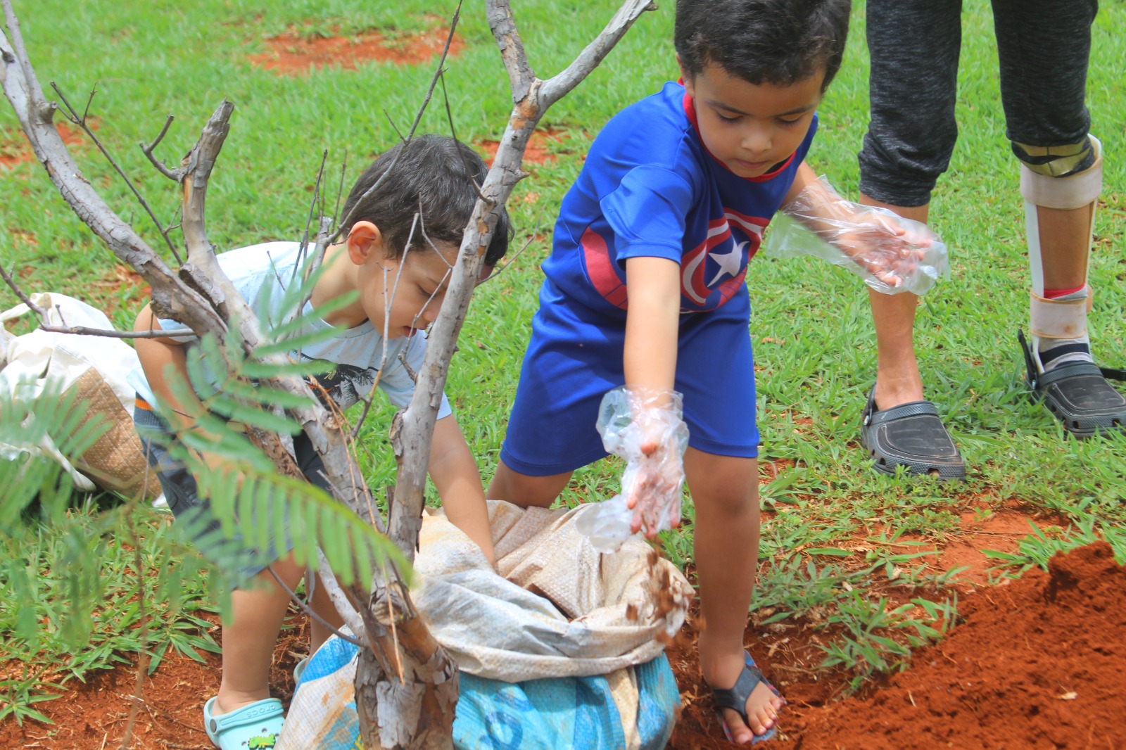 Dia de Plantar promove mobilização em prol do Cerrado com ações simultâneas em parques do DF