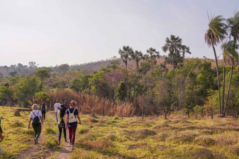 Divulgado plano de manejo do Parque Distrital Recanto das Emas