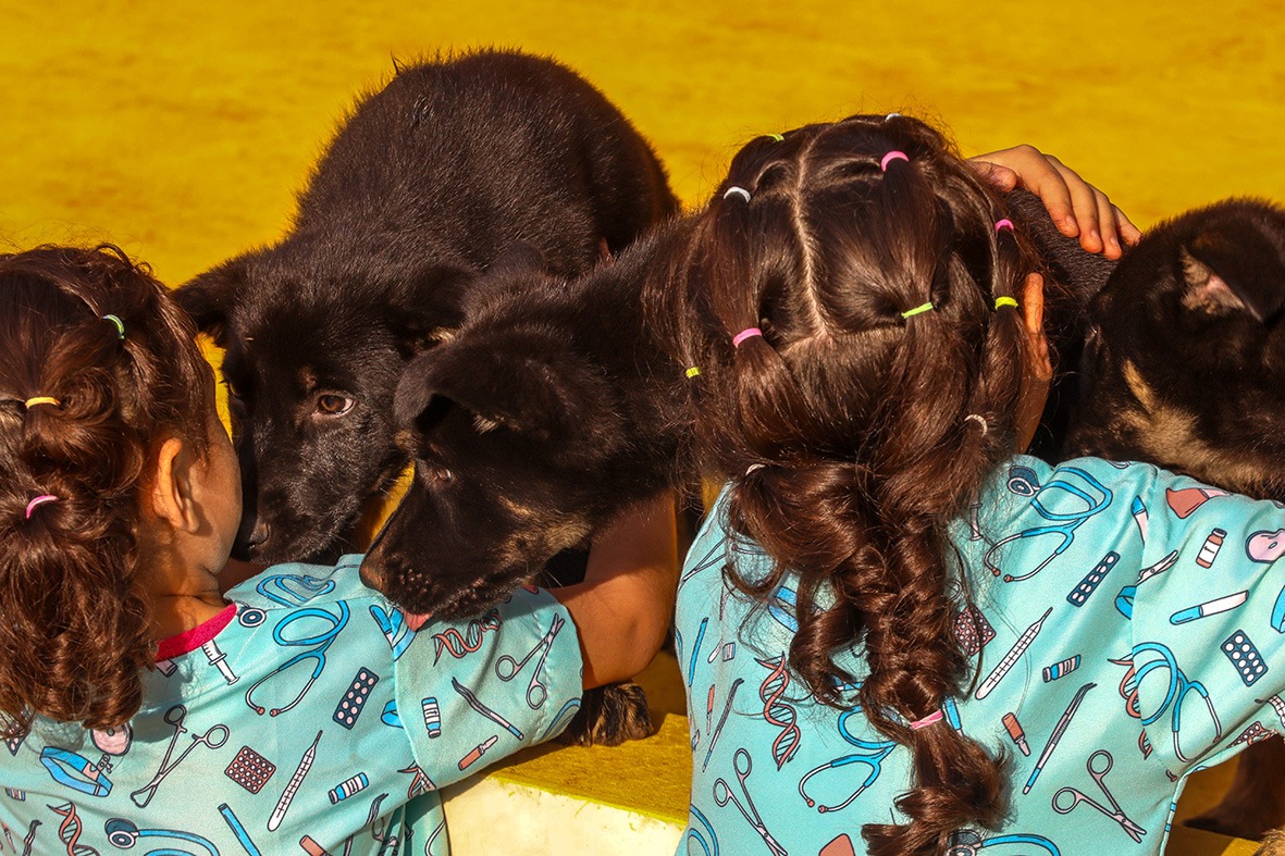 Reforma de canil marca nova fase de projeto com cães-guia no DF