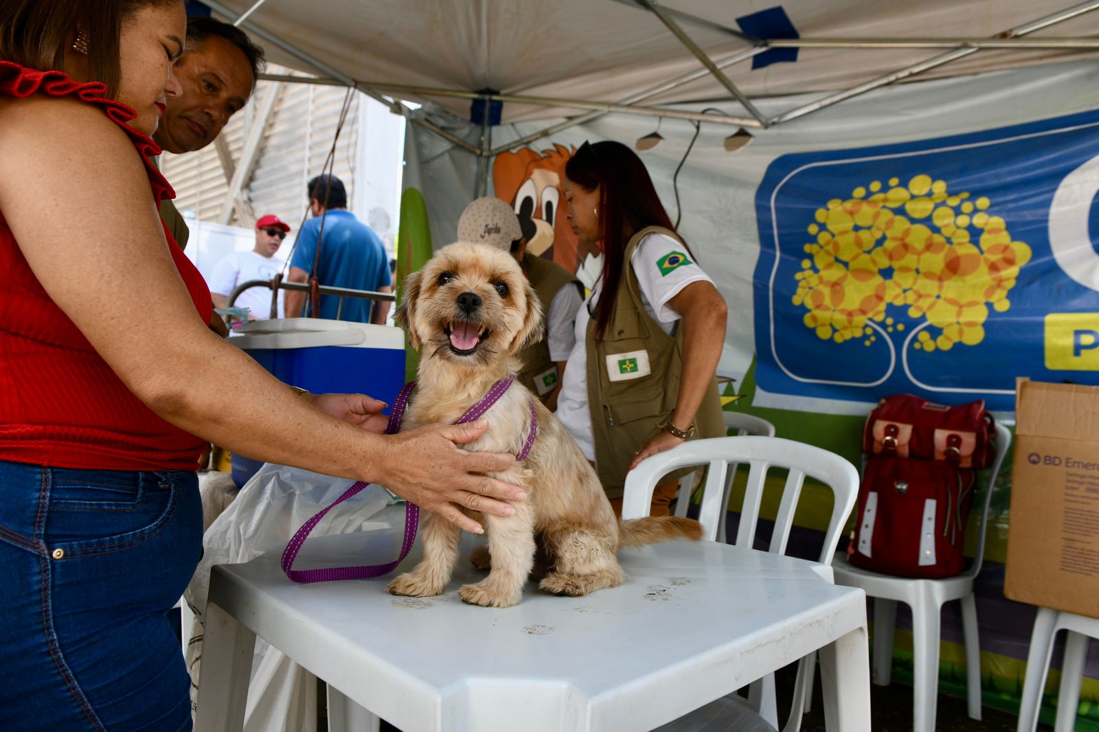 GDF Mais Perto do Cidadão inscreve animais para castração no Sol Nascente
