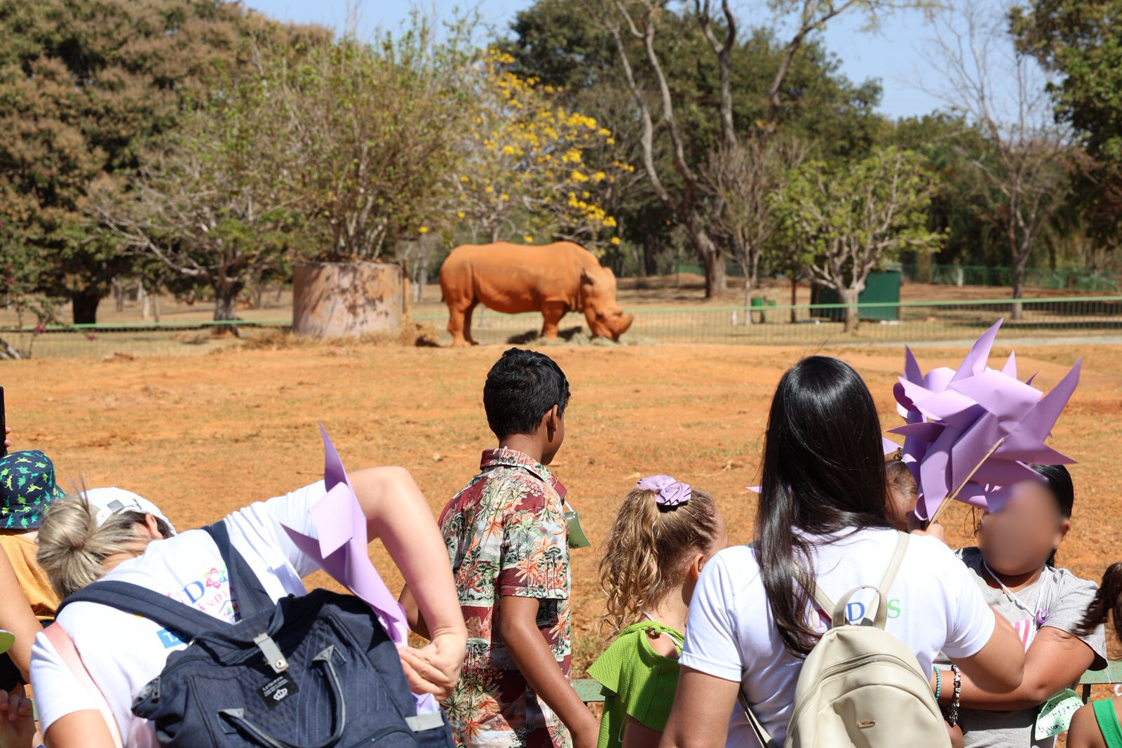 Passeio no Zoológico de Brasília oferece manhã especial para mulheres vítimas de violência doméstica