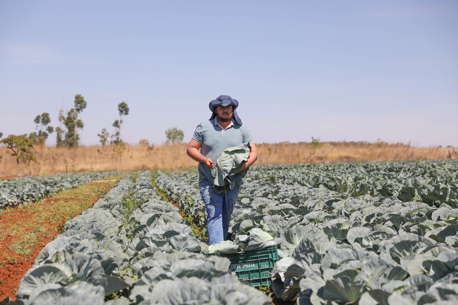 Imersão reúne especialistas para desenvolver soluções tecnológicas voltadas ao setor agropecuário