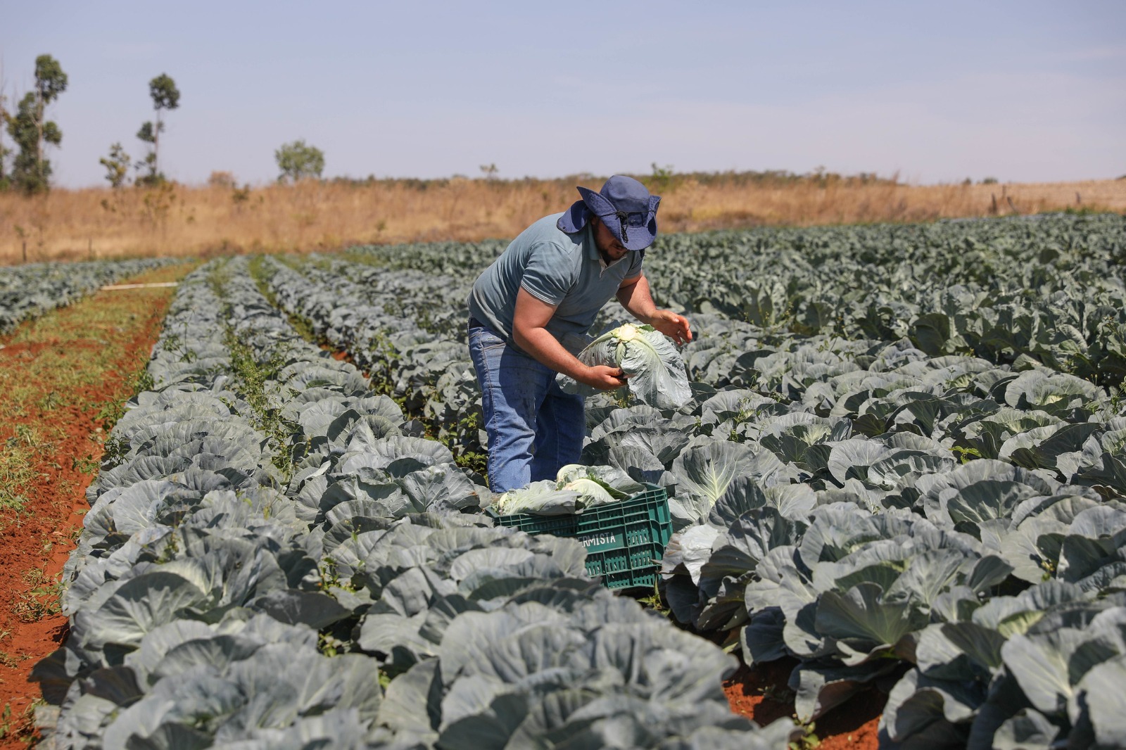 GDF reforça crédito e investe mais de R$ 16 milhões no Fundo de Desenvolvimento Rural