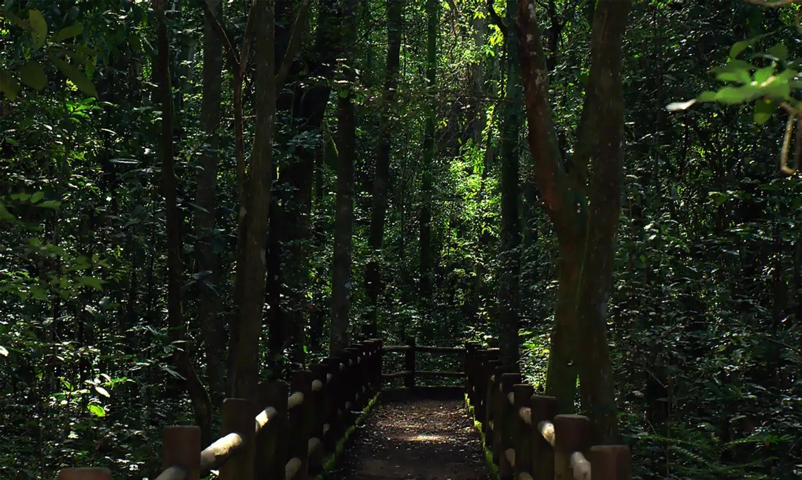 Aberta licitação para obras nas trilhas do Parque Nacional de Brasília