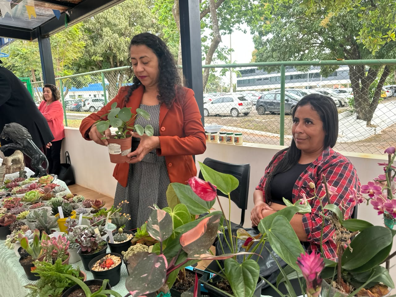 Feira Junina dos Consegs Rurais valoriza agricultura familiar