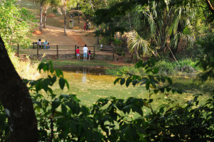 Lagoa dos Sapos, no Parque Olhos D’Água: pesca é proibida.