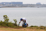 Detentos em regime semiaberto trabalham na retirada de lixo nas margens do Lago Paranoá nesta quarta-feira (14).