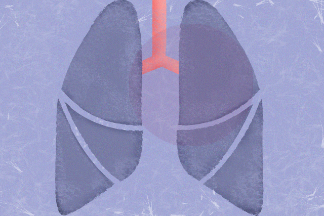 Banner de pulmões em lusão à tuberculose