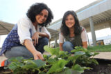 Árina Costa e Beatriz Domingues, responsáveis pelo Centro de Referência em Agroecologia e Tecnologias Sociais.