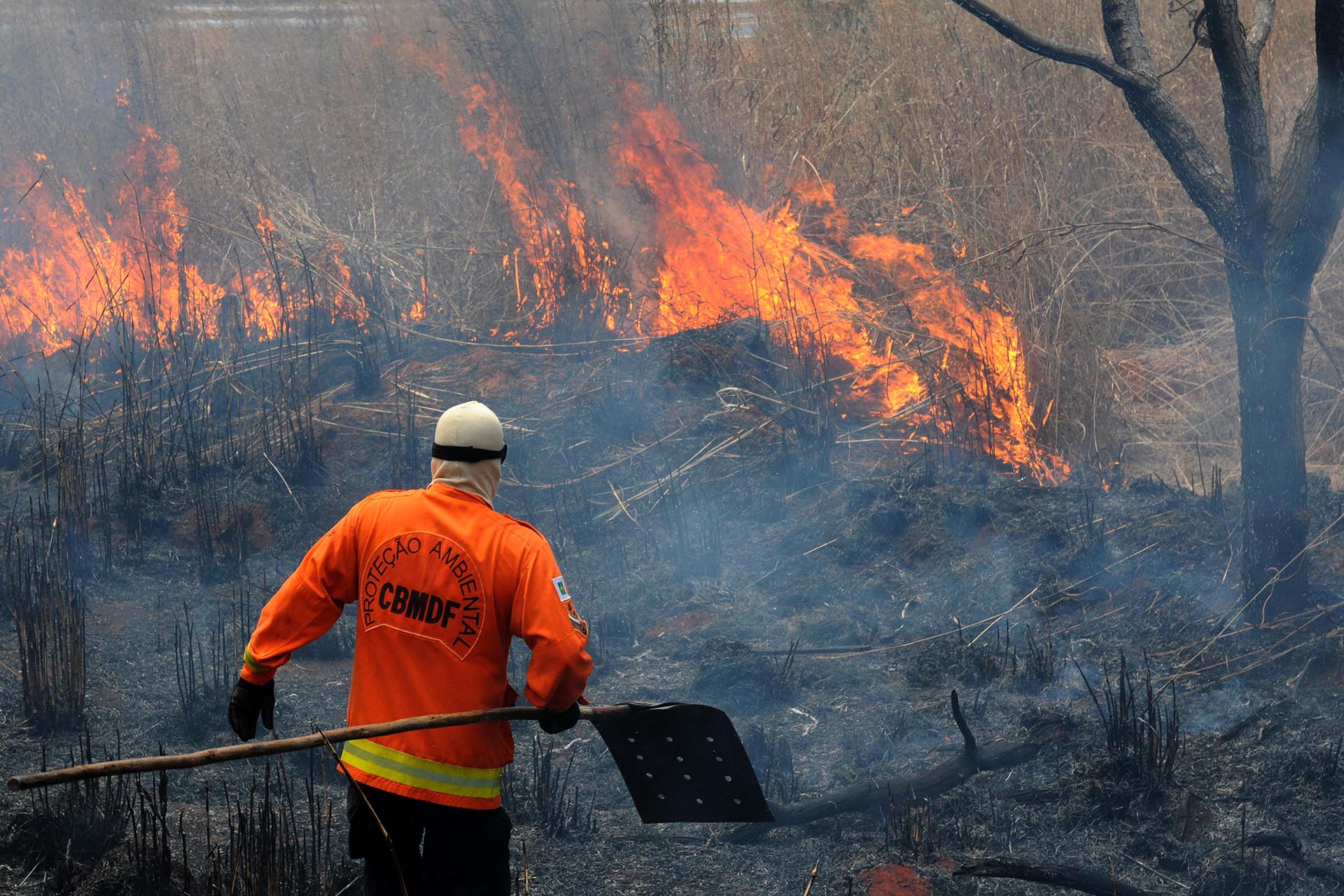 Bombeiro combate incêndio florestal na região de Planaltina.