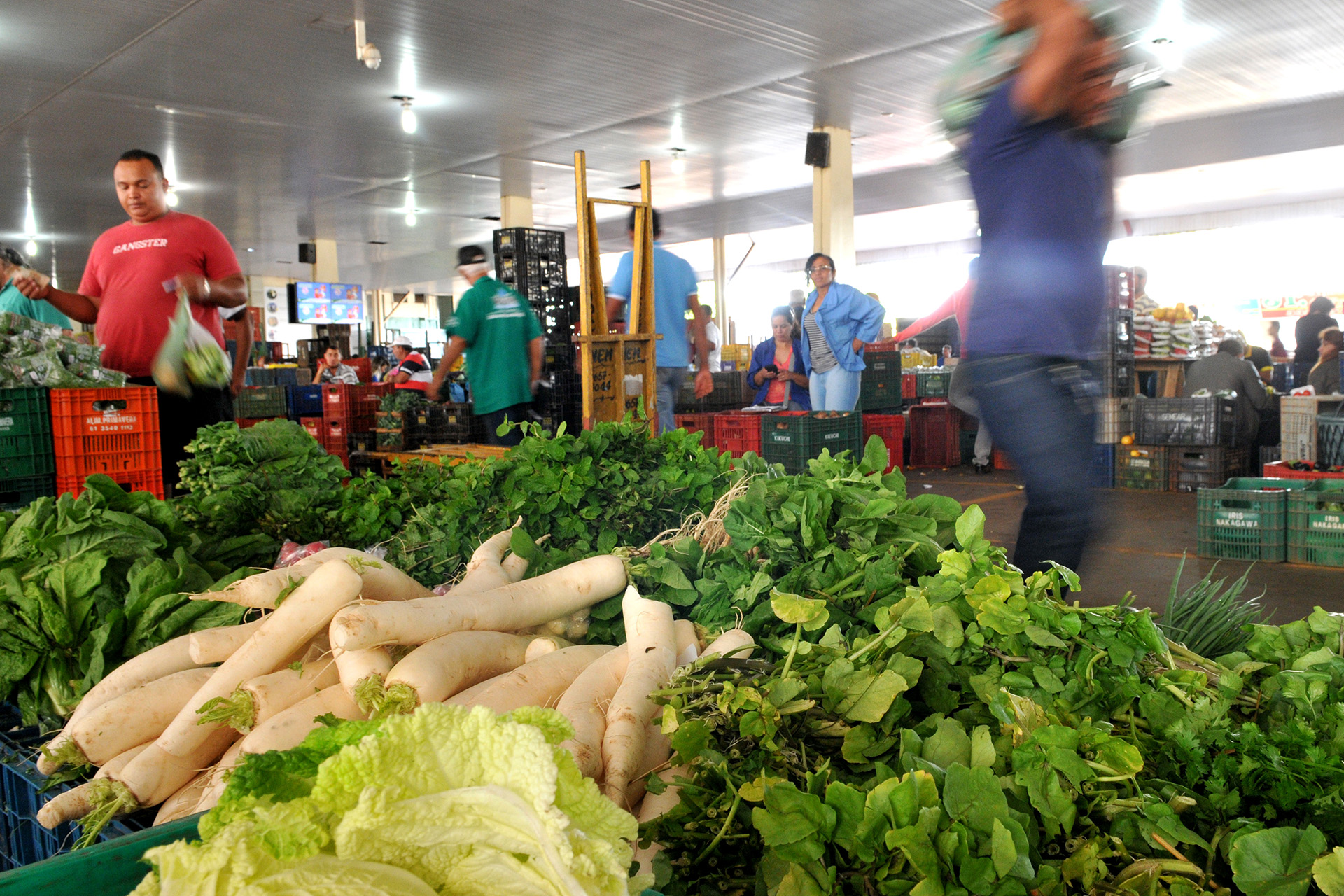 O Mercado Livre do Produtor funciona nas manhãs das segundas e quintas-feiras, na Ceasa, com a venda de verduras e frutas no atacado e no varejo.
