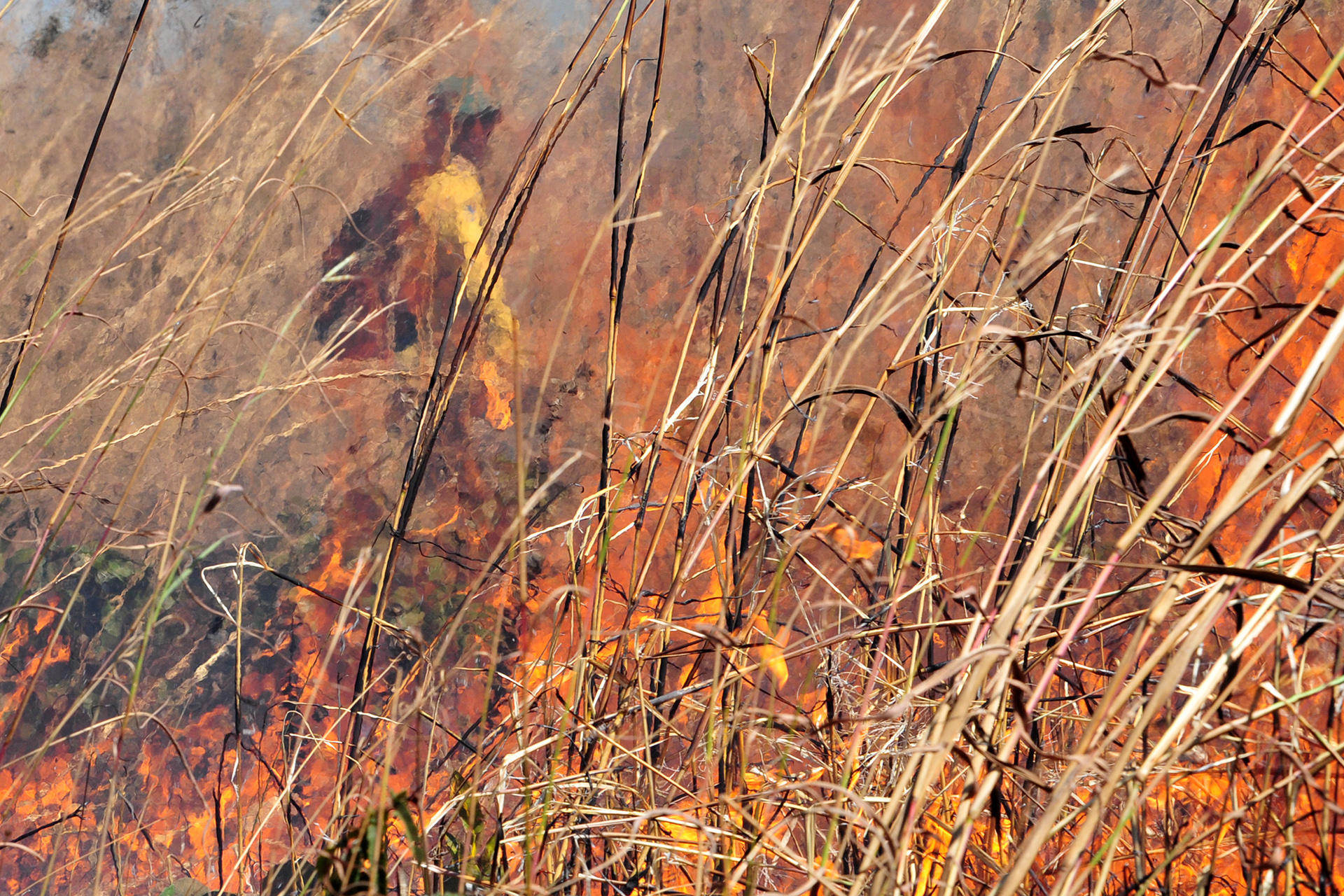 Equipe do Centro Nacional de Prevenção e Combate aos Incêndios Florestais atua na prevenção e no combate ás queimadas na Fazenda Àgua Limpa