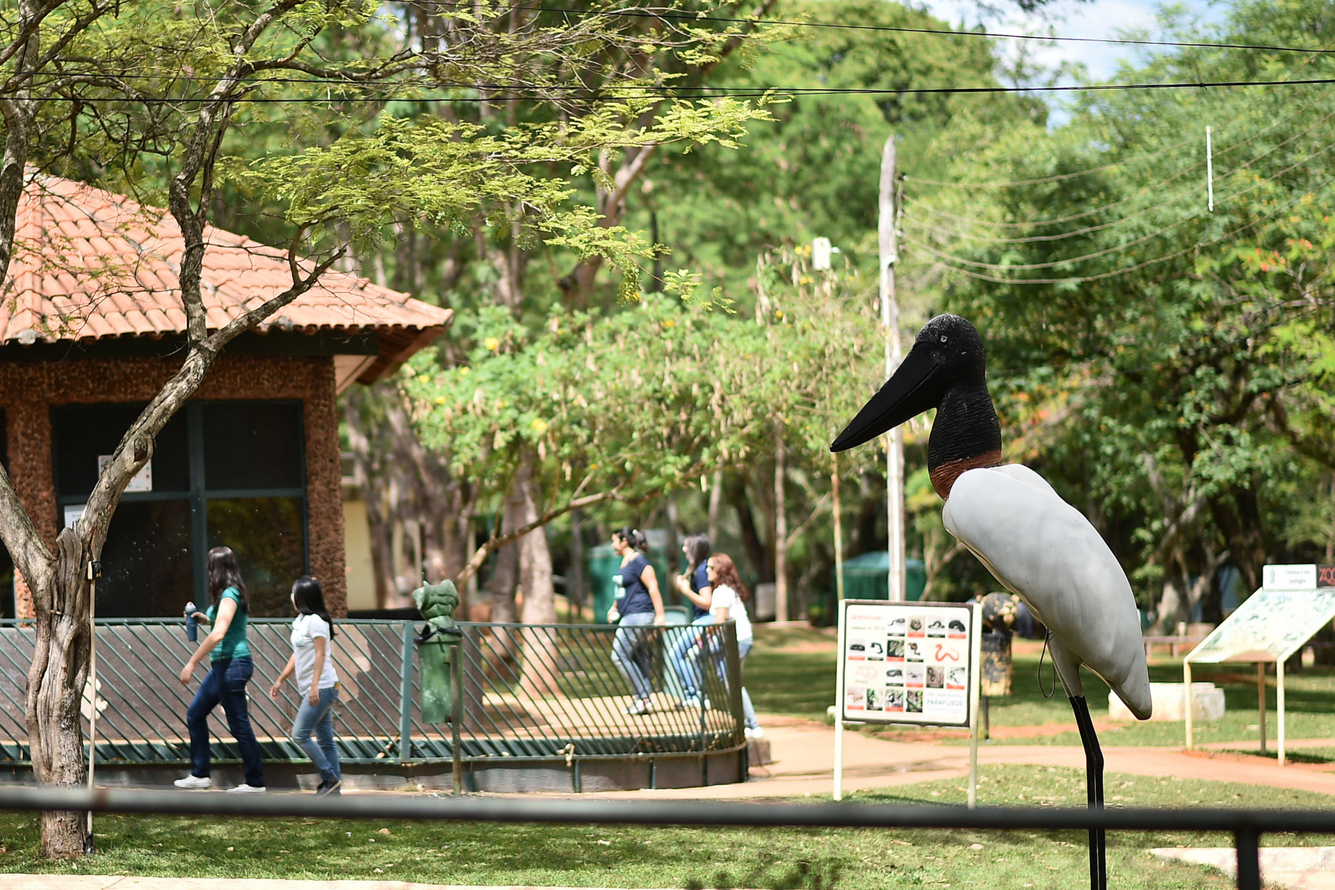 Além de abrigar 826 animais distribuídos em 185 espécies, o conta com museu, camping, playgrounds, lago artificial, berçário, borboletário e área para piquenique. Foto: Andre Borges/Agência Brasília