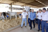 O governador Rodrigo Rollemberg participou da solenidade de abertura e visitou a exposição de animais