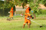Equipes da Novacap executam a roçagem das áreas verdes do Lago Sul