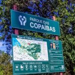 O Parque Distrital das Copaíbas, que conta com 80% de sua da vegetação natural preservada, está localizado dentro da Área de Proteção Ambiental do Lago Paranoá| Foto: Divulgação/Brasília Ambiental