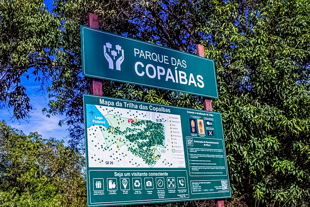 O Parque Distrital das Copaíbas, que conta com 80% de sua da vegetação natural preservada, está localizado dentro da Área de Proteção Ambiental do Lago Paranoá| Foto: Divulgação/Brasília Ambiental