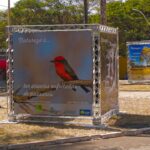 No Parque Ecológico Águas Claras foi possível observar a céu aberto as exposições A Natureza É... e Nosso DF através de Mapas | Foto: Divulgação/Brasília Ambiental