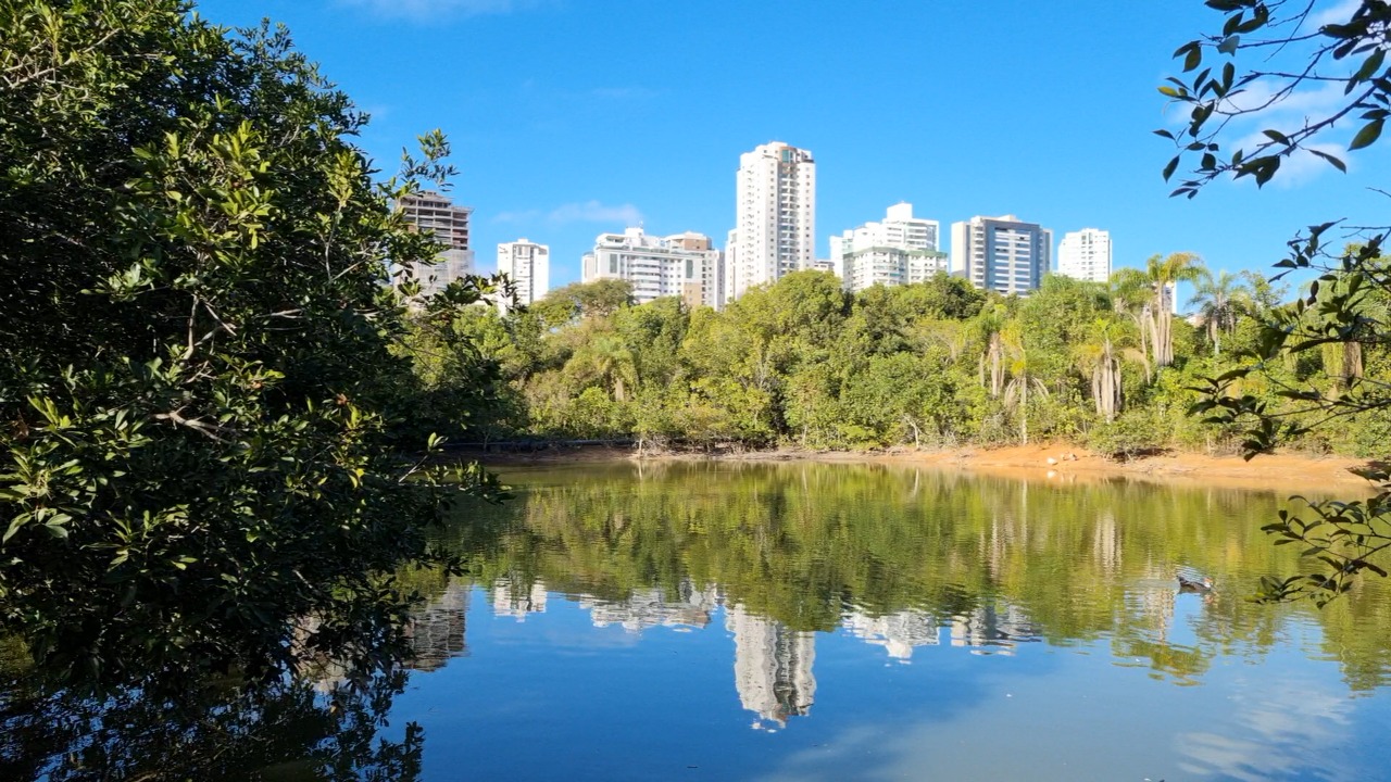 Pesquisa mostra a influência de unidades de conservação no valor de imóveis