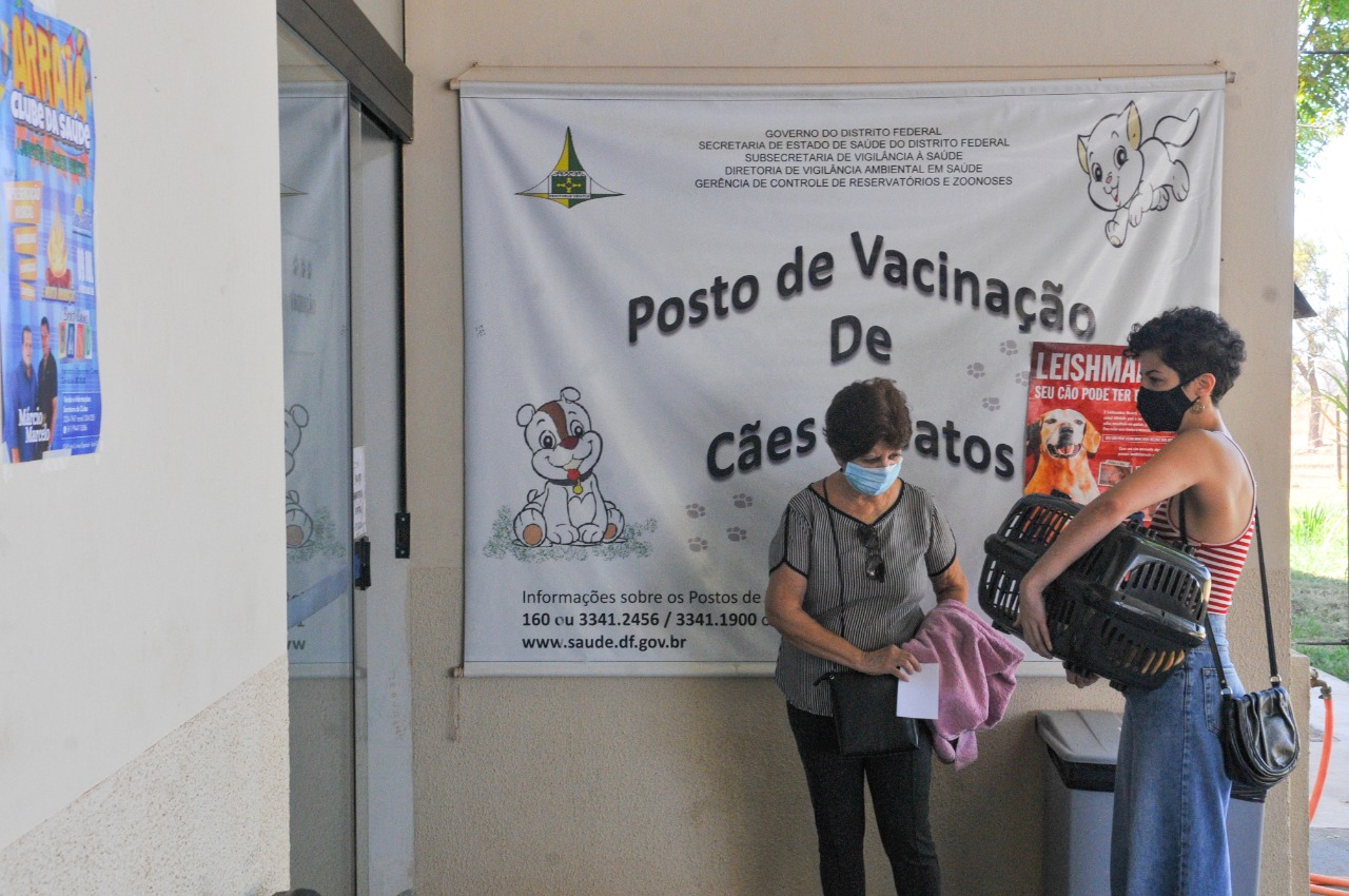 Distrito Federal conta com 72 pontos de vacinação antirrábica, em 16 regiões administrativas| Foto: Joel Rodrigues/Agência Brasília