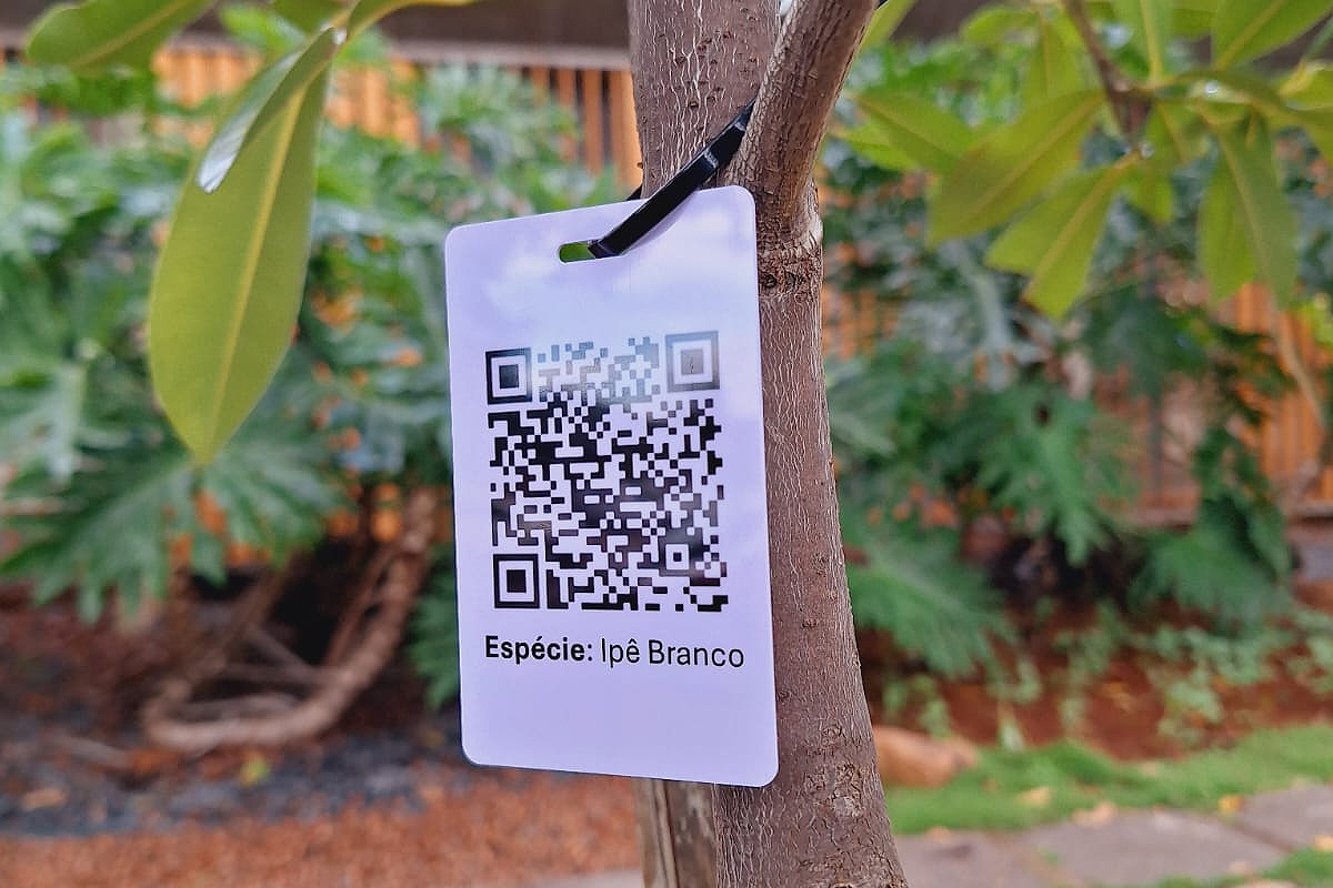 Novas árvores do Parque da Cidade terão identificação por QR Code