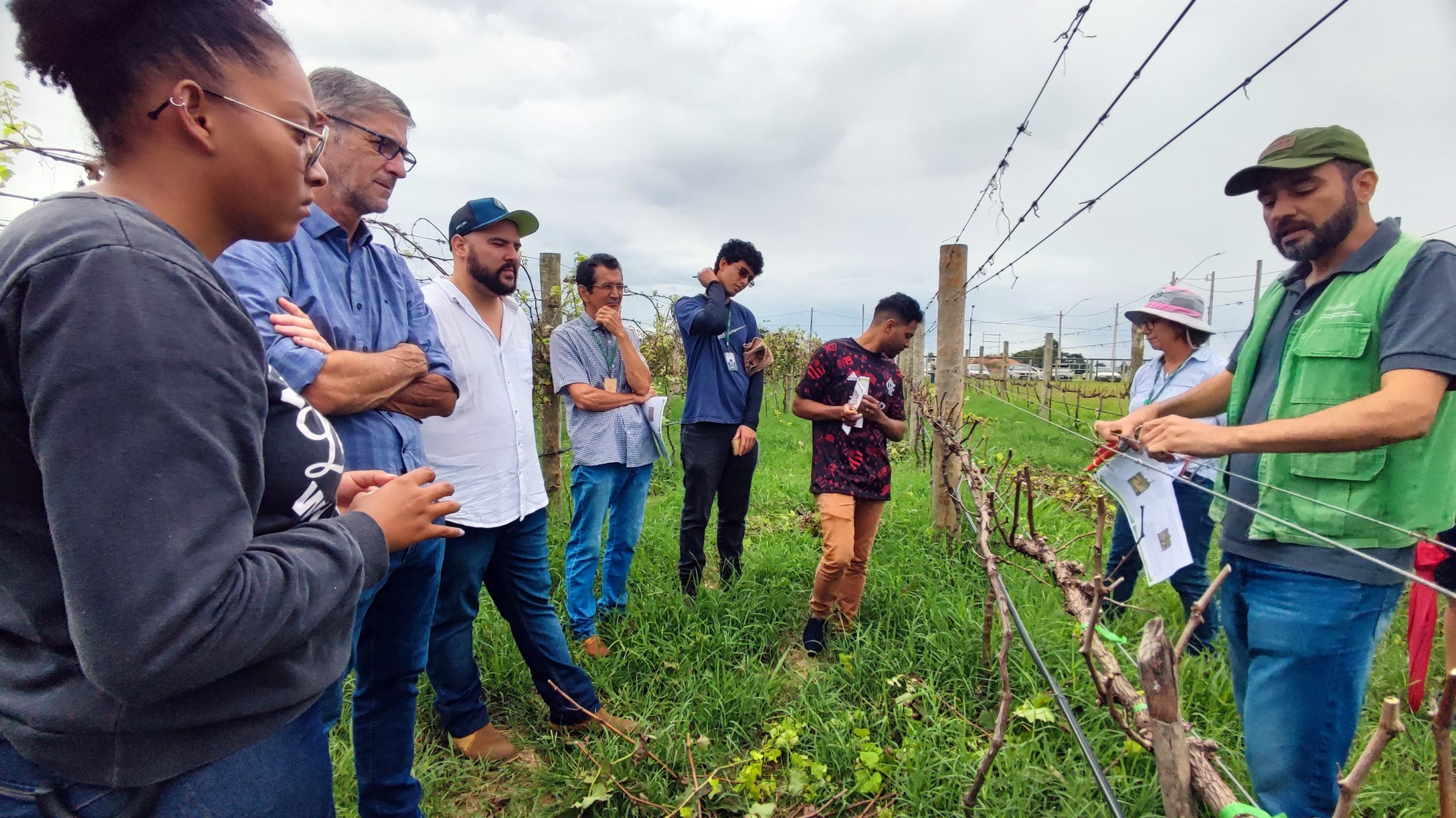 Visita técnica qualifica produtores e trabalhadores rurais no manejo de uva para vinhos finos