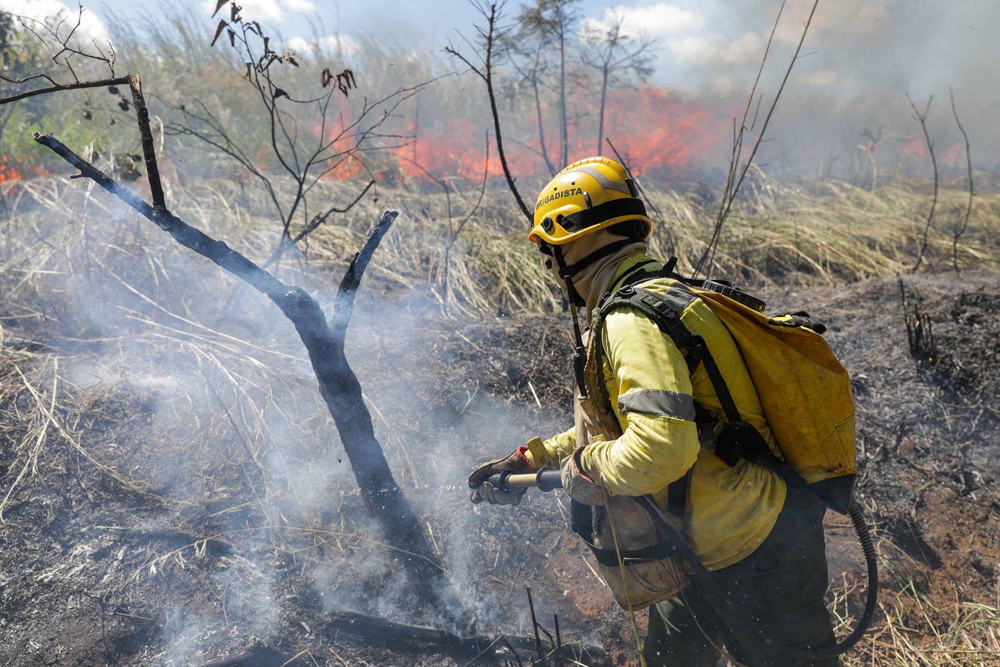 Queima controlada ajuda a evitar incêndios florestais em Águas Emendadas