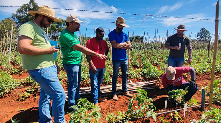 Produtores do Núcleo Rural Jardim e PAD-DF aprendem sobre irrigação eficiente