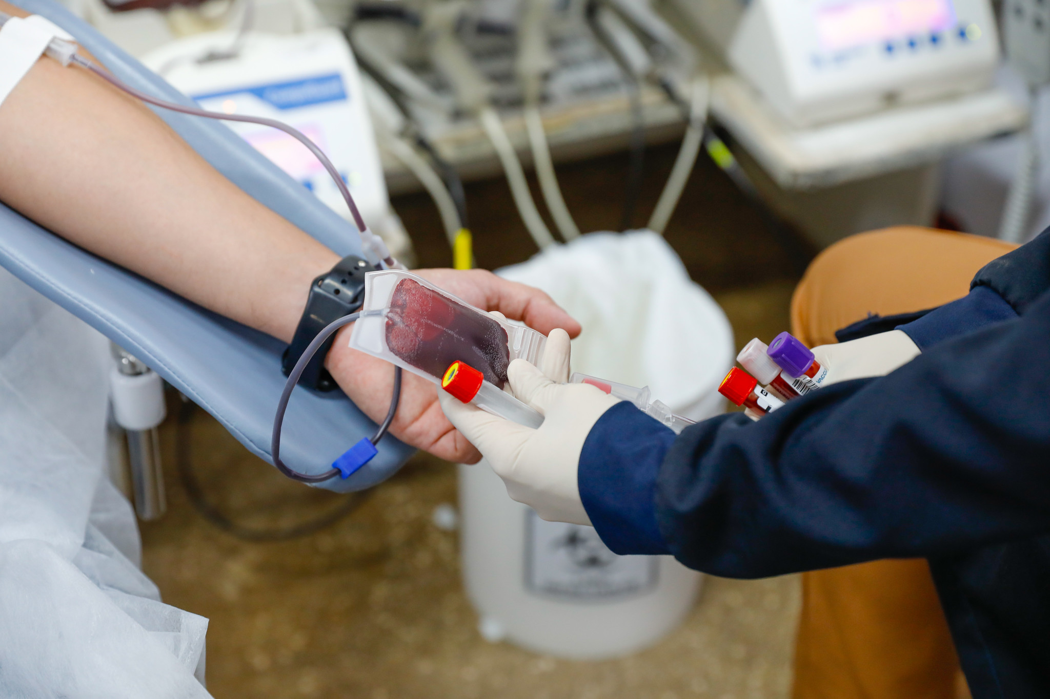 Hemocentro opera 42% abaixo do ideal e convoca população para doar sangue