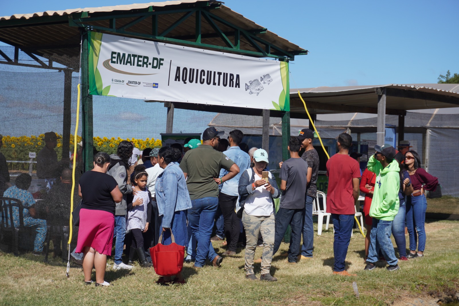 Produção intensiva de pescado será apresentada na AgroBrasília